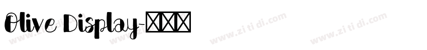 Olive Display字体转换